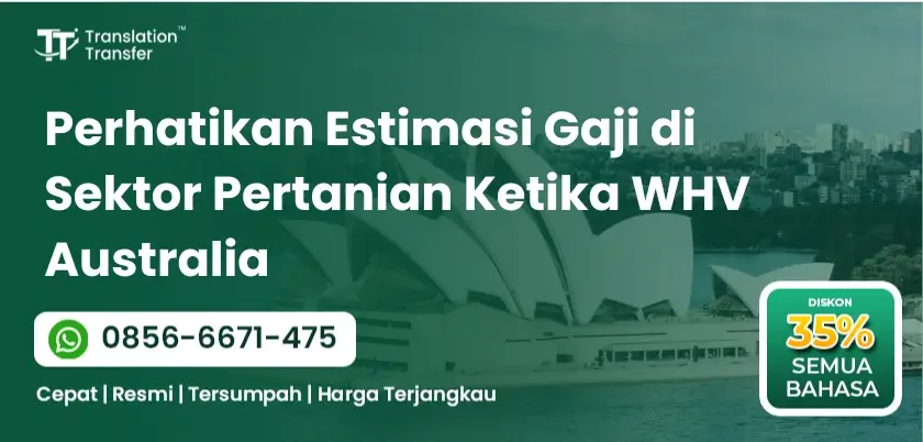 Perhatikan Estimasi Gaji di Sektor Pertanian Ketika WHV Australia
