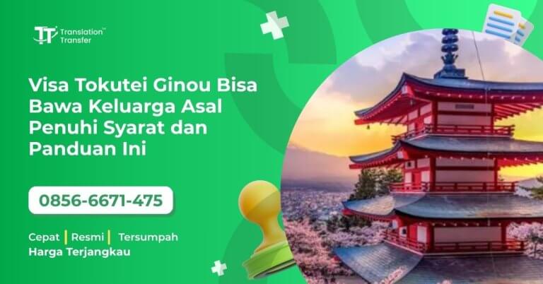 Visa Tokutei Ginou