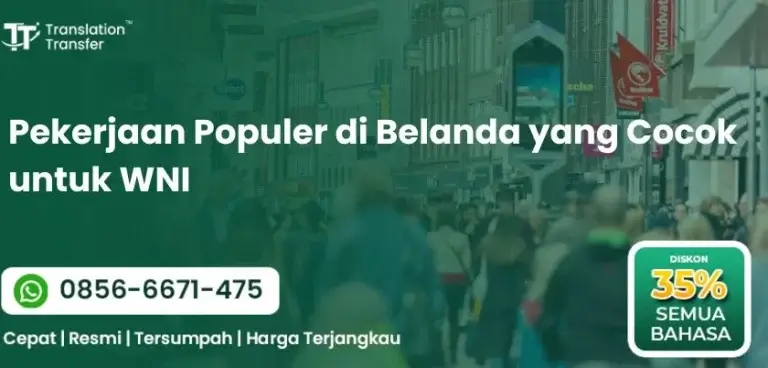 Pekerjaan Populer di Belanda yang Cocok untuk WNI