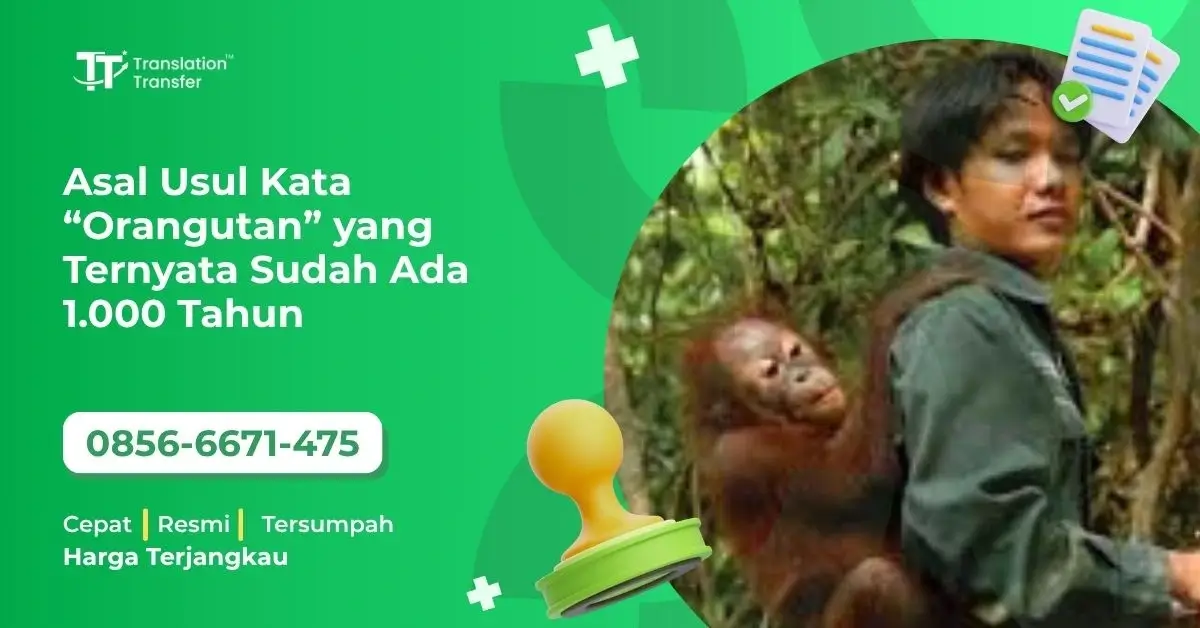 Asal Usul Kata “Orangutan” yang Ternyata Sudah Ada 1.000 Tahun