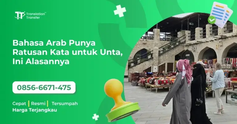Bahasa Arab Punya Ratusan Kata untuk Unta