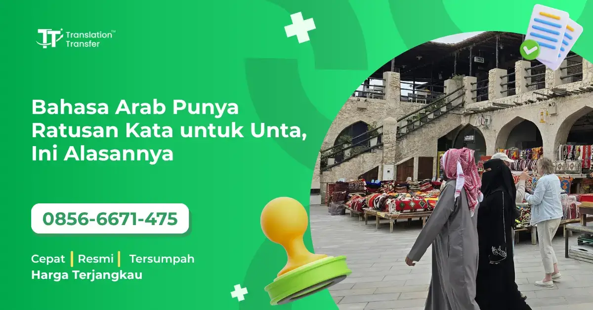 Bahasa Arab Punya Ratusan Kata untuk Unta