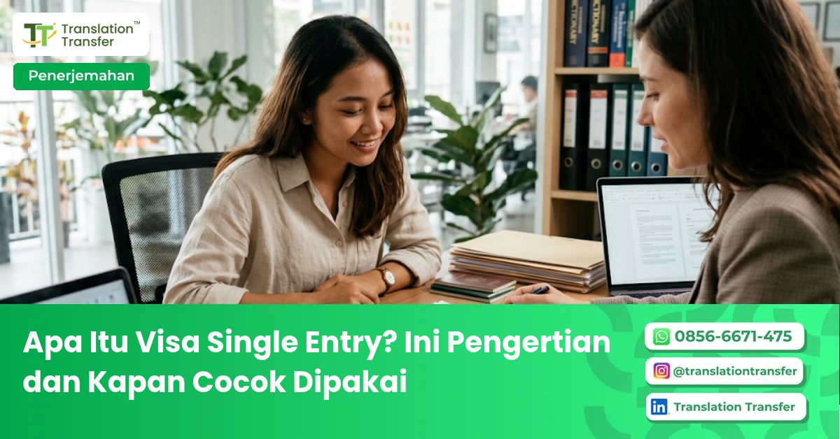 apa itu visa single entry